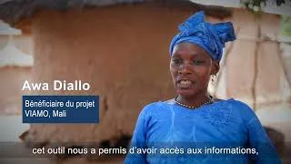 Miniature : Accel Africa, Viamo, l'impact de la ligne d'information 37 321