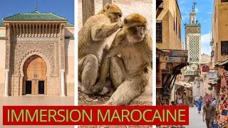 Miniature : 02 : Maroc 🇲🇦 - Villes IMPÉRIALES 👑, PÈLERINAGE 🤲, scènes de vie, DÉPAYSEMENT garanti !