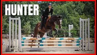 Miniature : EN HUNTER AVEC ROLLERCOASTER / CLUB 1 & 2 - Ca va le faire ! 🤞