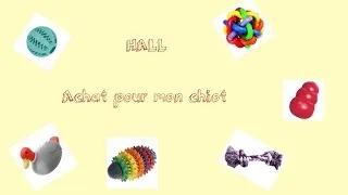 Miniature : HAUL ~ Achat pour mon chiot !