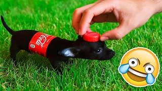 Miniature : SI TU RIGOLES, TU PERDS NIVEAU ANIMAUX DRÔLES🔥🤣[999.99% IMPOSSIBLE]🤯Essaye De Ne Pas Rire 2026🐶😹