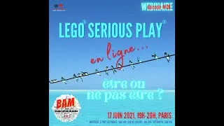 Miniature : Webinaire: 06 - LEGO® SERIOUS PLAY® en ligne