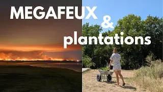 Miniature : Megafeux et plantations, séance de photographies sur place et plantations avant ce drame.