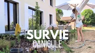 Miniature : JARDIN EN SURVIE : 8 astuces contre la canicule !