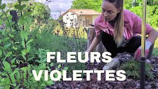 Miniature : Je plante mes indispensables de l'été ! Focus sur les FLEURS VIOLETTES.