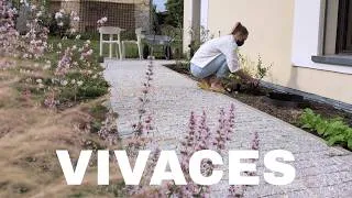 Miniature : Mon massif de vivaces à l'entrée prend forme ! Nouvelles plantations au jardin.