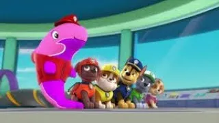 Miniature : PAW Patrol : La pat'patrouille (dessins animé)
