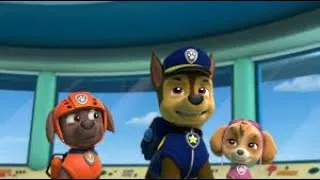 Miniature : PAW Patrol : La pat'patrouille (dessins animé)