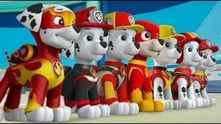 Miniature : PAW Patrol : La pat'patrouille (dessins animé)