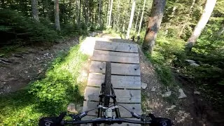 Miniature : Bernex Découverte avec le Buzz