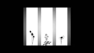 Miniature : vide de Pinptemps