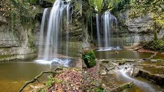 Miniature : D’étranges cyprès chauves et une cascade merveilleuse.