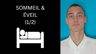 Miniature : Maîtriser Son Sommeil & Être Plus Vigilant Lors De l’Éveil (1/2)