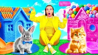 Miniature : Nous Construisons des Maison Pour Animaux de Compagnie | Défi Fou par BaRaFun Challenge