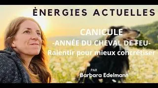 Miniature : Solstice : Ralentir pour avancer de manière plus juste et efficace