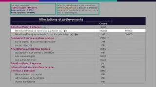 Miniature : V53 - Affectation du résultat : perte reportée et réserve légale