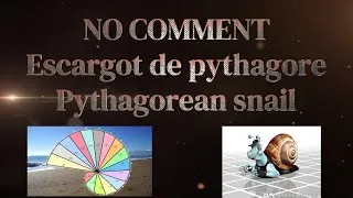Miniature : NO COMMENT Escargot de Pythagore - Pythagorean snail