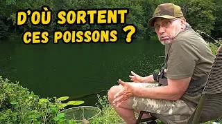 Miniature : Jamais je n'aurais imaginé sortir ça en Meuse... (Feeder)