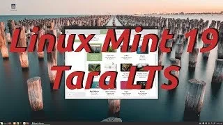 Miniature : Linux Mint 19 Tara Lts