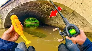 Miniature : J’ai lancé mon leurre sous ce tunnel… je ne m’attendais PAS à ça !!