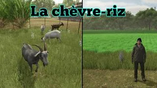 Miniature : Farming Simulator 25 : Ferme de la chèvre-riz