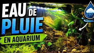 Miniature : L'EAU DE PLUIE EN AQUARIUM