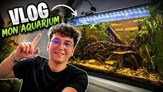 Miniature : CHANGEMENT DE DÉCORS DE L'AQUARIUM COMMUNAUTAIRE