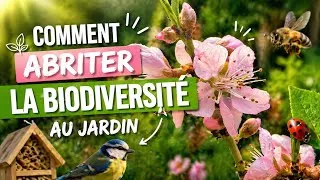 Miniature : AVOIR UNE FORTE BIODIVERSITÉ AU POTAGER, toutes mes astuces