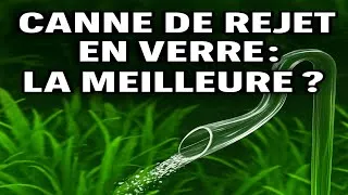 Miniature : Canne de rejet en verre : est-ce vraiment la meilleure ?