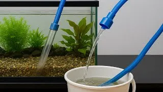 Miniature : Comment je change l’eau de mon aquarium et j’enlève toute la saleté au fond ? (Question d’abonné)🐟🧽