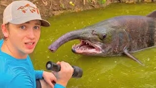 Miniature : J’ai découvert des poissons d’aquarium abandonnés et laissés mourir !