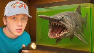 Miniature : J'ai acheté le poisson d'aquarium préhistorique le plus rare !