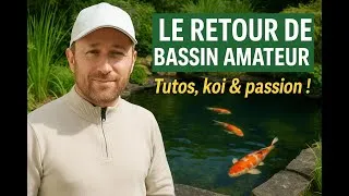 Miniature : Le grand retour de Bassin Amateur ! Tutos, koi & passion 💧🐟