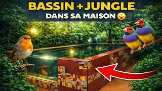 Miniature : Un bassin INCROYABLE… dans une jungle intérieure avec des oiseaux 😱 (bassin de jardin)