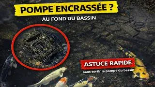 Miniature : Nettoyer une pompe de bassin sans la sortir – astuce bassin de jardin