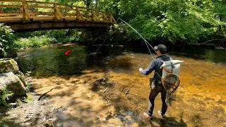 Miniature : Je m'attendais à pêcher quelque chose sous ce PONT...  (Technique qui marche vraiment à coup sûr)