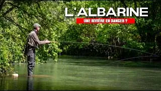 Miniature : Une MENACE est en train de vider en silence cette rivière.