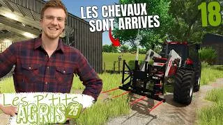 Miniature : NOUVEAUX CHEVAUX A LA FERME ! - Les P'tits Agris #18 (Fs25)