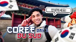 Miniature : JE TESTE UN CAFÉ À CHATS EN CORÉE DU SUD 🇰🇷 ( DAY 2)