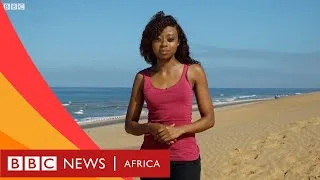 Miniature : Climate change in the Namib desert- BBC What's New
