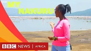 Miniature : Welcome to My Nakuru- BBC What's New