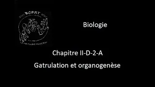 Miniature : Biologie (12-06) - Gastrulation et organogenèse