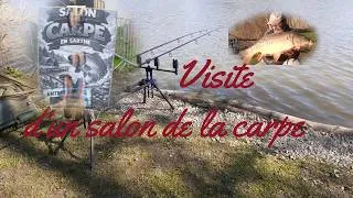 Miniature : peche de la carpe , petit salon
