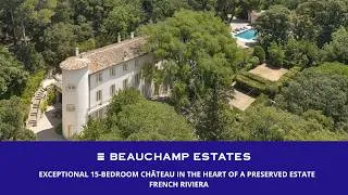 Miniature : Exceptional 15-Bedroom Château in the Heart of a Preserved Estate – French Riviera
