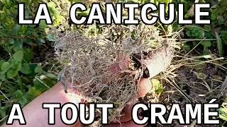 Miniature : Vlog: Tentative de sauvetage...