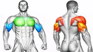 Miniature : Transforme tes Pectoraux, Biceps, Triceps et Épaules en 30 Jours sans matériel à la maison Résultats