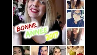 Miniature : Bonne Année 2017