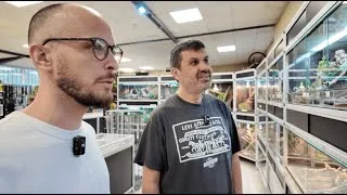 Miniature : On parle sujets d'actualités et on visite la boutique avec un vétérinaire 🐍