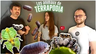Miniature : Les (petits) animaux de Terrapodia ! -RDV dans un monde méconnu + TEASER Exposaurus