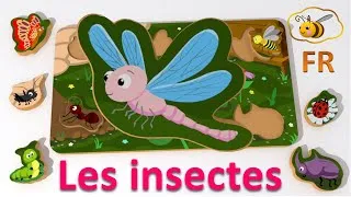 Miniature : Jouets pour bébé: casse-tête avec les insectes. Dessin animé en français